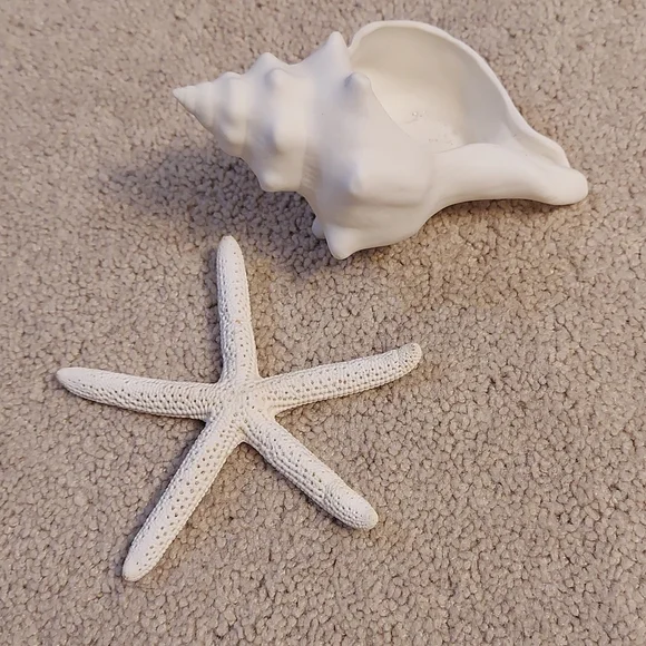 Star fish and sea shell tea light holder - Picture 8 of 8